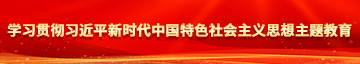 操小穴3D好爽操逼学习贯彻习近平新时代中国特色社会主义思想主题教育